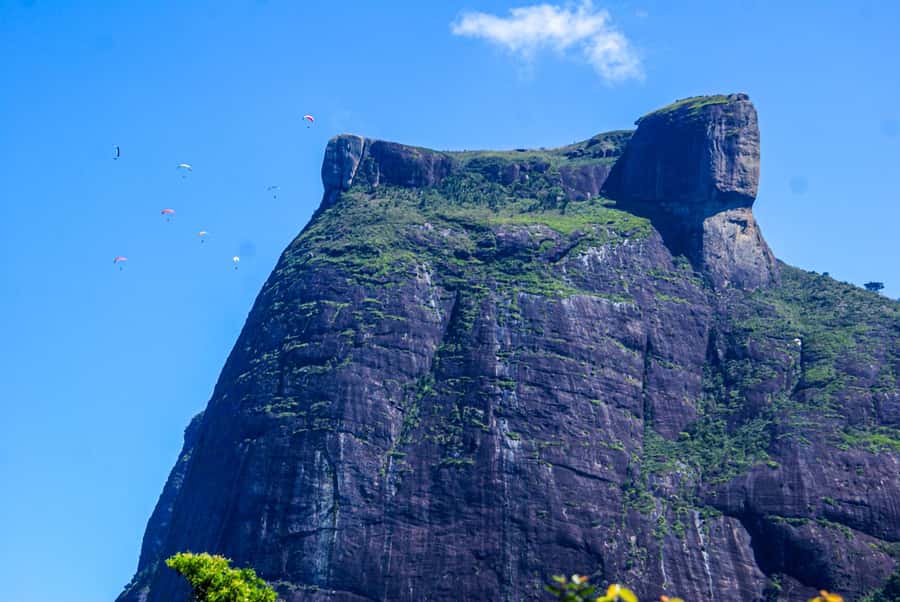 Rocinha Jeep Tour: A Journey into the Soul of the Favela! - Who This Rocinha Jeep Tour Suits Best
