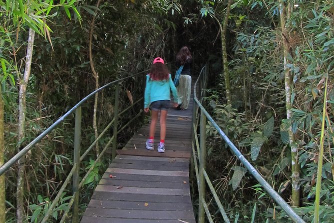 Serra dos Orgaos National Park – EcoTour - Hiking Level Choices: Easy vs Moderate Without Guessing