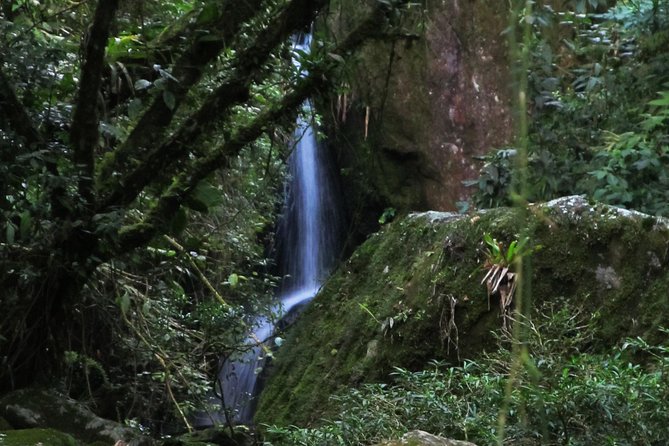 Serra dos Orgaos National Park – EcoTour - Small-Group Value: Up to 6 People and an Accredited Guide