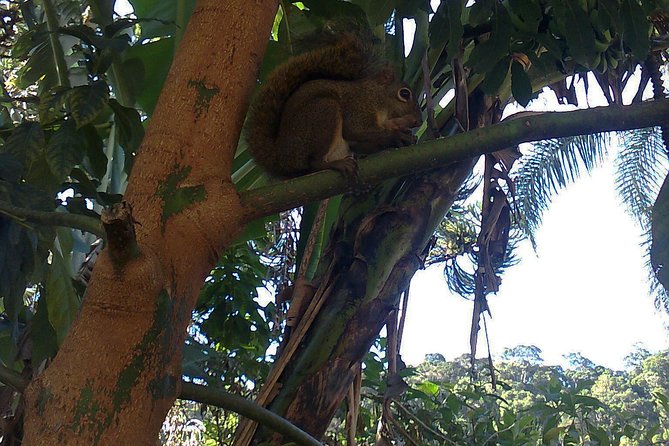 Serra dos Orgaos National Park – EcoTour - Poço Verde: Your Swim Stop in a Natural Setting