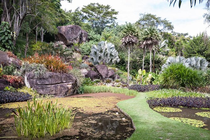 Sitio Roberto Burle Marx Guided Tour Ticket and Transfer - Entering Sítio Burle Marx: modern architecture meets garden design
