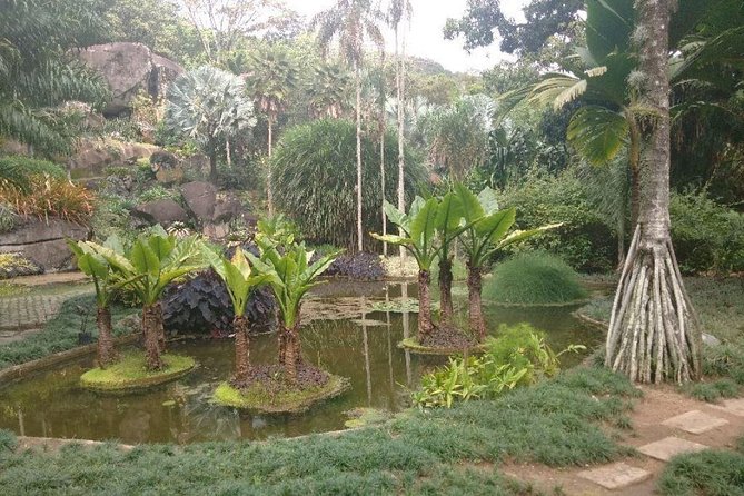 Sitio Roberto Burle Marx Guided Tour Ticket and Transfer - Price and value: what $80 buys you, and what it does not
