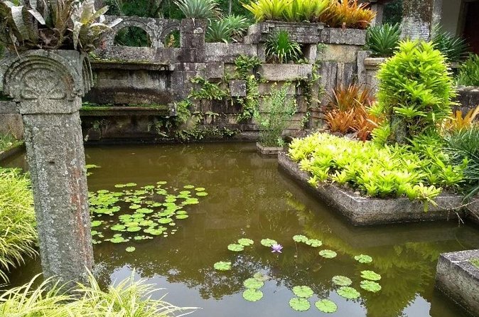 Sitio Roberto Burle Marx Guided Tour Ticket and Transfer - Transport comfort and group size: the part you can control