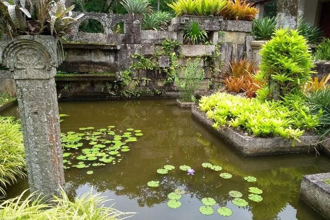 Sitio Roberto Burle Marx Guided Tour Ticket and Transfer - Who should book this Burle Marx guided ticket and transfer