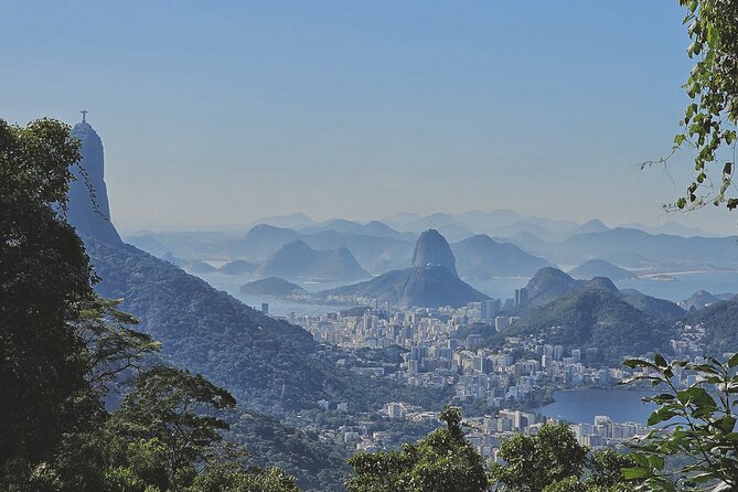 Small-Group Tijuca Forest Guided Tour - Key highlights you will care about