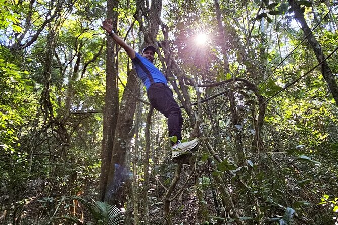 Small-Group Tijuca Forest Guided Tour - The hiking reality: short easy stretches plus a moderate section