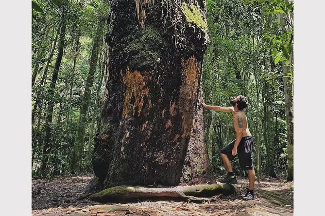 Small-Group Tijuca Forest Guided Tour - What you get for $70, and where the extra cost comes in
