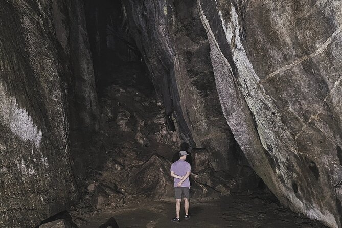 Small-Group Tijuca Forest Guided Tour - Group size, guide style, and why Henry gets repeat praise