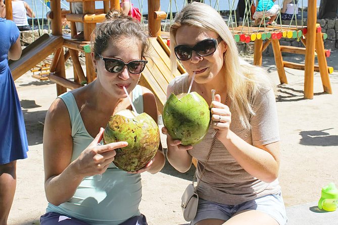 Small-Group Urban Bike Tour in Rio de Janeiro - Price and What You Actually Get for $39.54