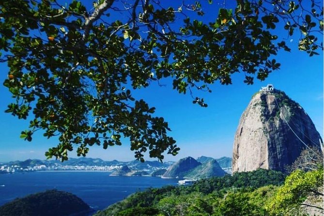 Sugarloaf Cable Car Ticket - Top-station experience: shopping, snacks, and small wildlife