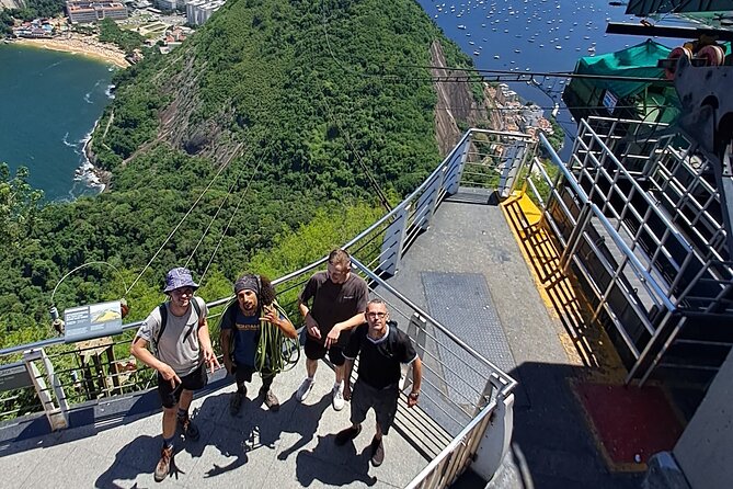Sugarloaf Mountain Adventure - Wildlife on the route: monkeys, vultures, and birds that add meaning