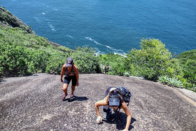Sugarloaf mountain Hiking & Climbing - The last stretch through closed vegetation