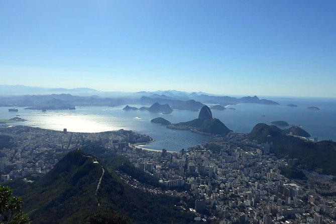 The Best of Rio de Janeiro in a Private Guided Tour - Parque Nacional da Tijuca: Rio’s urban rainforest reset