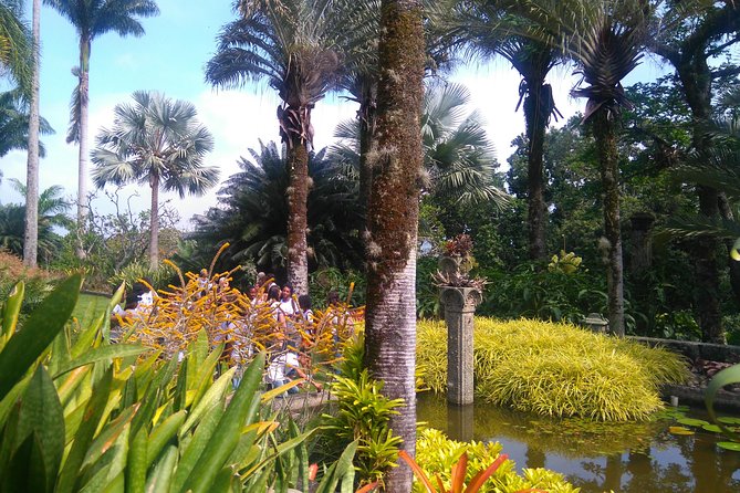The landscaper Burle Marx and its site - cultural heritage - Entering Sitio Roberto Burle Marx, and why this is a smart Rio detour