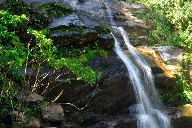 Tijuca Forest + Botanical Garden + Lage Park - by Alan Denis - A 6-Hour Rio Day That Balances City Views and Quiet Green