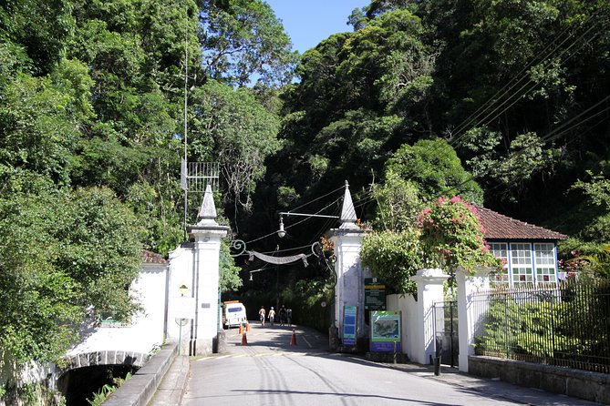 Tijuca Forest + Botanical Garden + Lage Park - by Alan Denis - How the Transport and Private Setup Make the Day Feel Easier