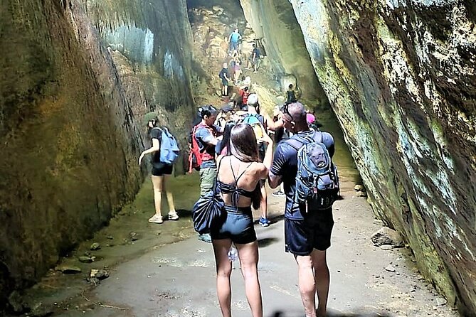 Tijuca Forest Caves and Falls Tour in Rio de Janeiro - Key highlights at a glance