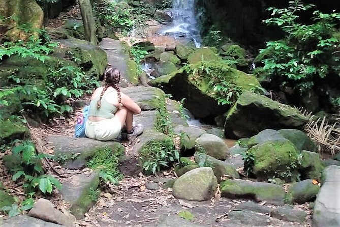 Tijuca Forest Caves and Falls Tour in Rio de Janeiro - What you do in the park: a guided easy hike, caves, and falls