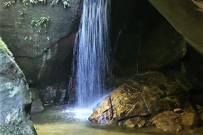 Tijuca Forest Caves and Falls Tour in Rio de Janeiro - Caves and waterfall moments worth planning around