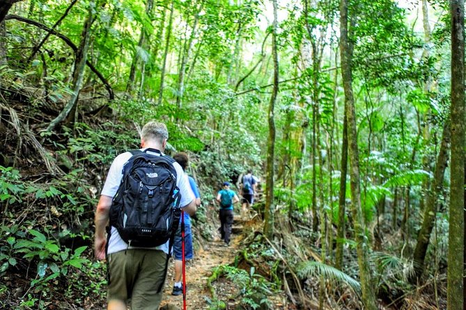 Tijuca Forest Half-Day Hike (Small Group or Private) - Pedra Bonita: the big viewpoint payoff for Rio 360 views