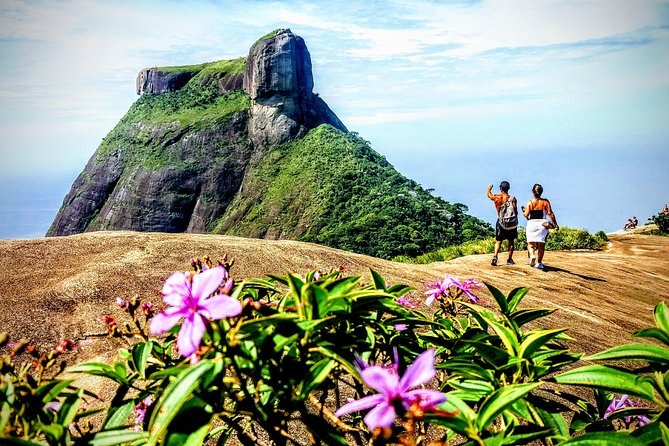 Tijuca Forest Half-Day Hike (Small Group or Private) - South Zone pickup and small-vehicle transport that keeps the morning easy