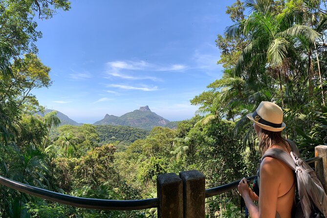 Tijuca Forest Hike - Waterfalls & Caves, Nature & Wild Life! - Key highlights before you go