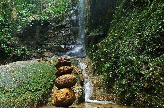 Tijuca Forest Hiking Tour including Waterfalls - Cascatinha Taunay: a waterfall stop that breaks up the hike