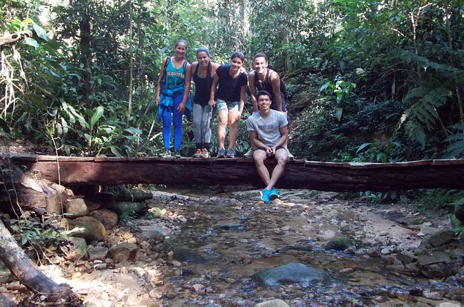 Tijuca Forest Hiking Tour including Waterfalls - The Tijuca National Park Visitor Center: context before you move again
