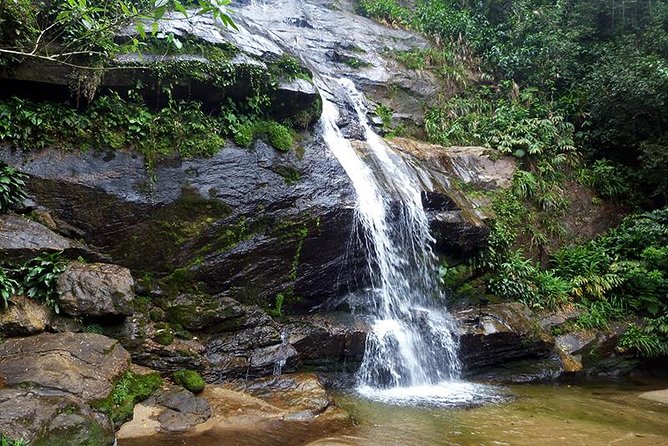 Tijuca Forest Hiking Tour including Waterfalls - Where you meet, and how the group size changes your hike