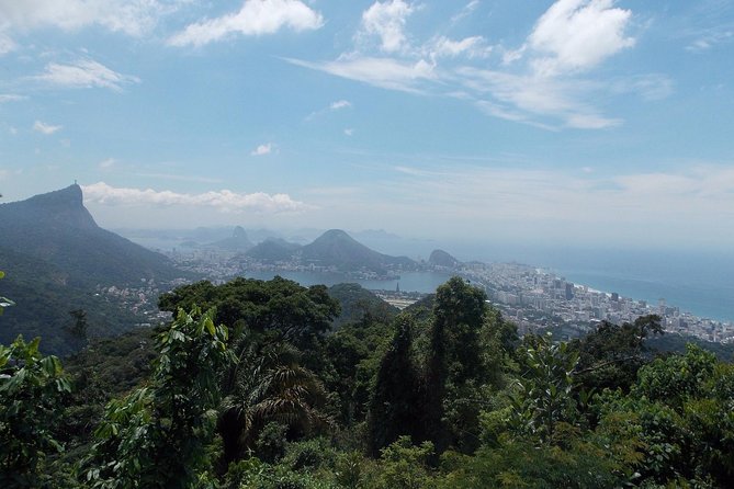 Tijuca Forest Jeep Tour - Key takeaways