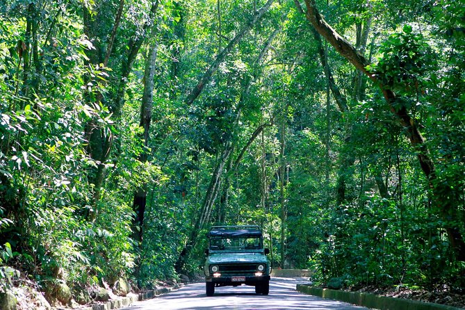 Tijuca Forest Jeep Tour - Guides That Actually Shape the Experience (Bruno, Erica, Serginho)