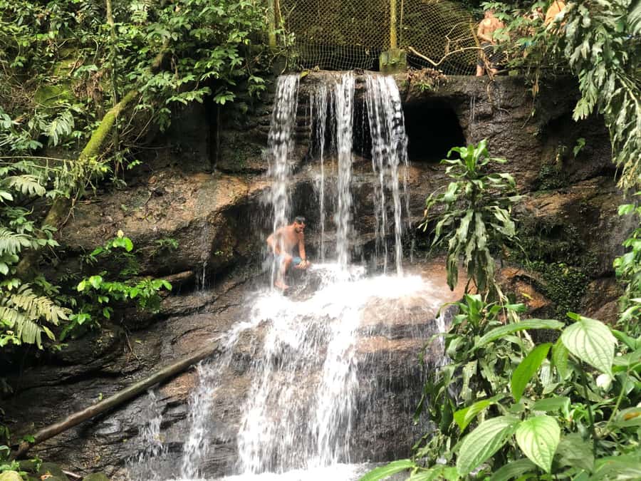 Tijuca Forest´s hike: caves, waterfalls and great views - Key things that make this Tijuca hike worth your time