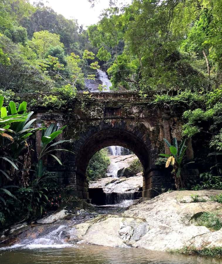 Tijuca Forest´s hike: caves, waterfalls and great views - Group size and guide style: why up to 8 people works