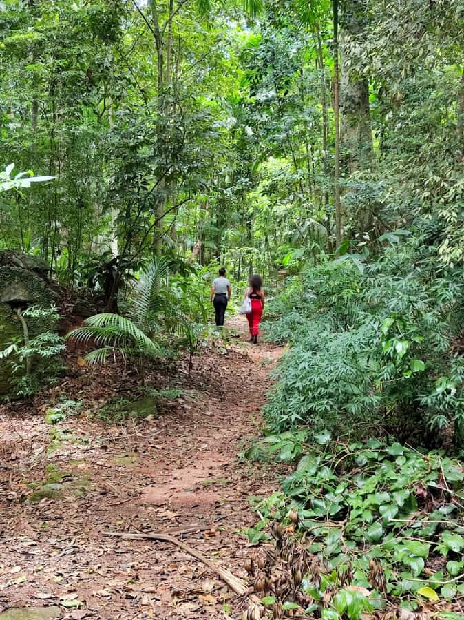 Tijuca Forest´s hike: caves, waterfalls and great views - Uphill rainforest trails, uneven ground, and how not to trip