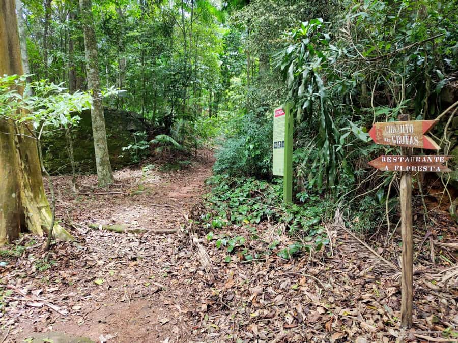 Tijuca Forest´s hike: caves, waterfalls and great views - Historical circuit and the kinds of stops that make it more than scenery