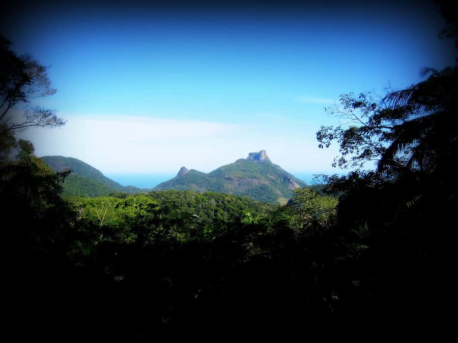 Tijuca Forest´s hike: caves, waterfalls and great views - Price and value: does $40 buy you enough?