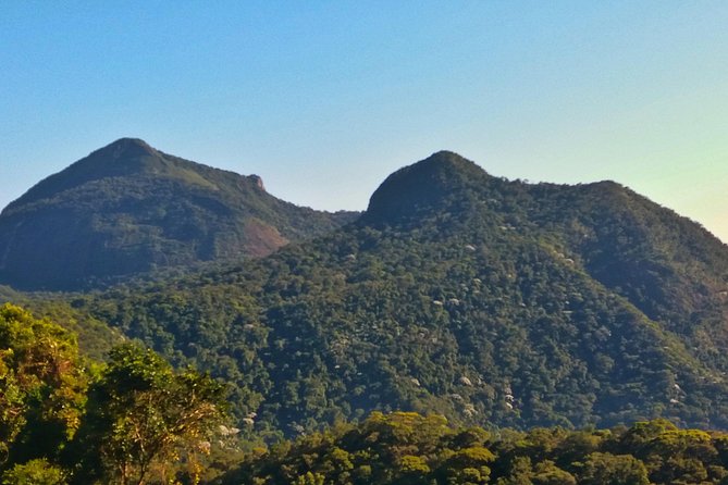 Tijuca Forest Trail Running Tour - Key highlights before you go