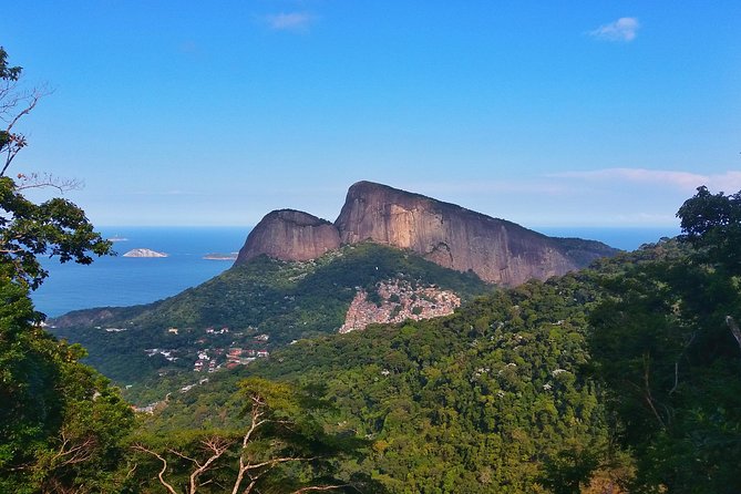 Tijuca Forest Trail Running Tour - Why a Tijuca trail run is worth your morning time