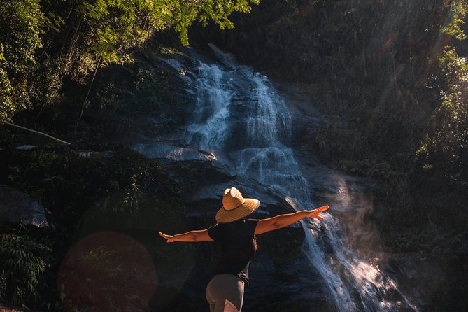 Tijuca Forest Trail - specialized guide and photos - Key things to know before you go