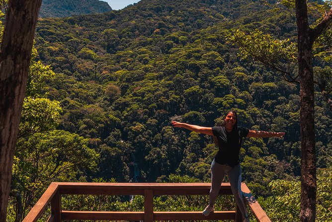 Tijuca Forest Trail - specialized guide and photos - Tijuca Forest Trail, a half-day that actually feels like nature