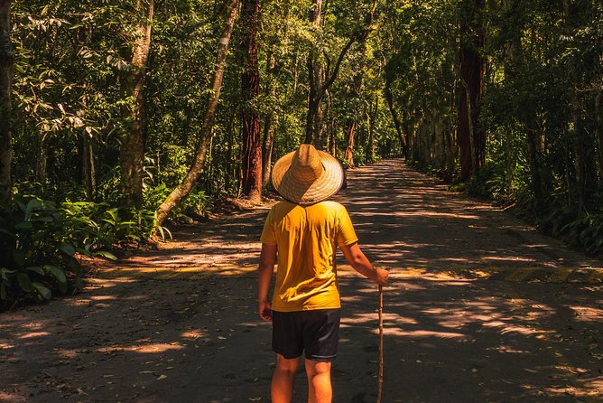 Tijuca Forest Trail - specialized guide and photos - Visitor center and what it adds to your hike