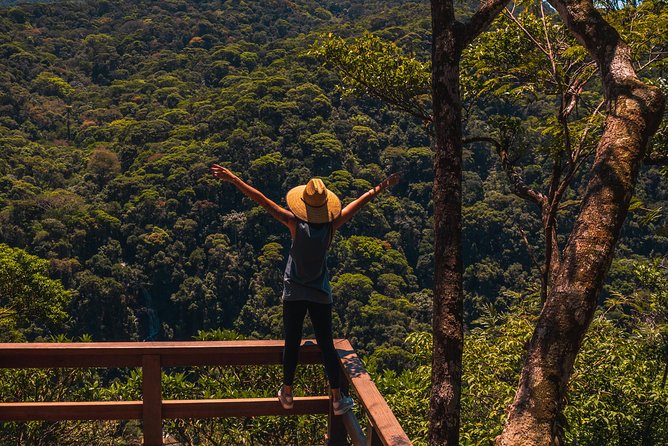Tijuca Forest Trail - specialized guide and photos - Waterfall bath at the end: fun, but plan for getting wet
