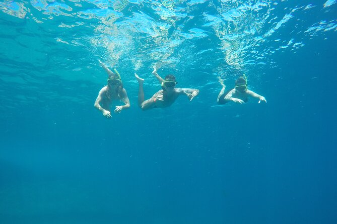 Tijuca Islands Snorkeling & Whale Watching Boat Tour from Rio - Key highlights worth planning for