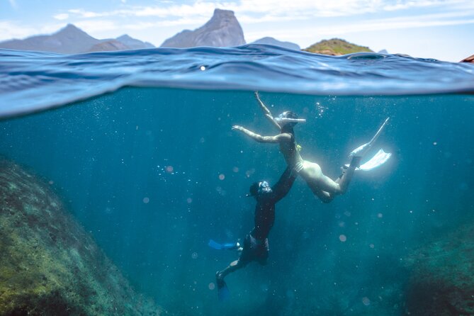 Tijuca Islands Snorkeling & Whale Watching Boat Tour from Rio - Price and value: what you get for $123.50 in 3 hours