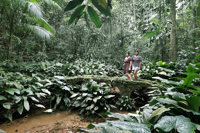 Tijuca National Park and all its wonders - Cascatinha Taunay: the 35-meter waterfall stop that sets the tone