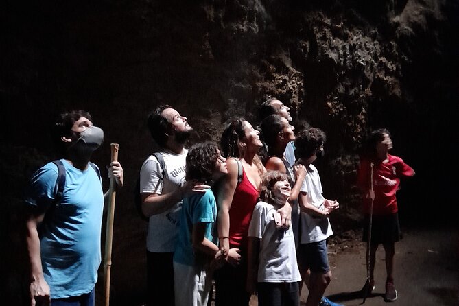 Tijuca National Park and all its wonders - Waterfall bathing breaks that actually feel like a break