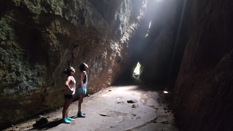 Tijuca National Park and all its wonders! - Wildlife Viewing: What You Can Expect and How to Improve Your Chances