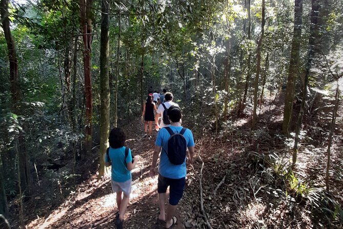 Tijuca National Park and all its wonders! - Praça Afonso Viseu, the Easiest Start Point to Find