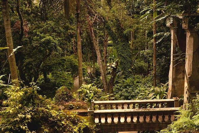 Tijuca National Park and Botanic Garden Guided Tour & Transfer - The Taunay waterfall and Mayrink Chapel quick-hit moments