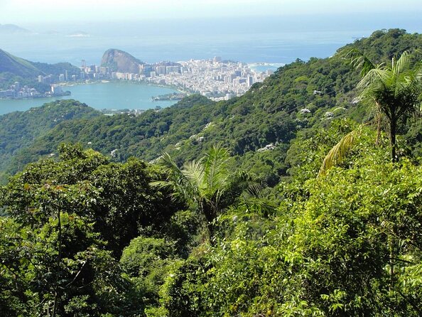 Tijuca National Park Hike and Waterfall Rappelling - Key Highlights